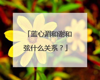 蓝心湄和谢和弦什么关系?