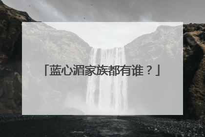 蓝心湄家族都有谁？