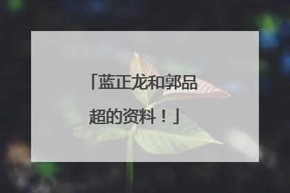 蓝正龙和郭品超的资料!