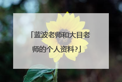 蓝波老师和大目老师的个人资料?