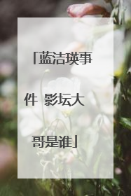 蓝洁瑛事件 影坛大哥是谁