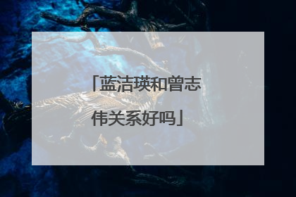 蓝洁瑛和曾志伟关系好吗