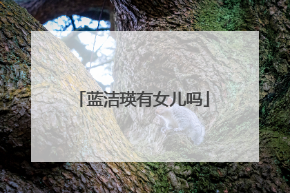 蓝洁瑛有女儿吗