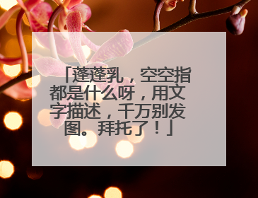 蓬蓬乳,空空指都是什么呀,用文字描述,千万别发图。拜托了!