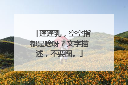 蓬蓬乳，空空指都是啥呀？文字描述，不要图。