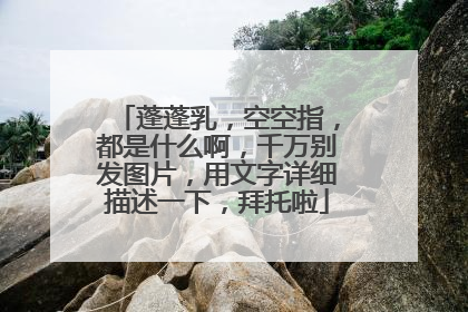 蓬蓬乳，空空指，都是什么啊，千万别发图片，用文字详细描述一下，拜托啦