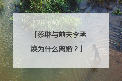 蔡琳与前夫李承焕为什么离婚?