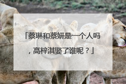 蔡琳和蔡妍是一个人吗,高梓淇娶了谁呢?
