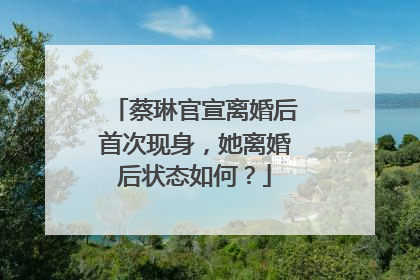 蔡琳官宣离婚后首次现身，她离婚后状态如何？