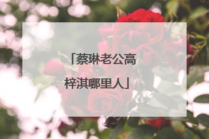 蔡琳老公高梓淇哪里人