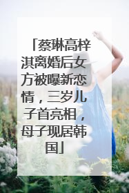 蔡琳高梓淇离婚后女方被曝新恋情，三岁儿子首亮相，母子现居韩国
