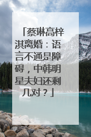 蔡琳高梓淇离婚:语言不通是障碍,中韩明星夫妇还剩几对?