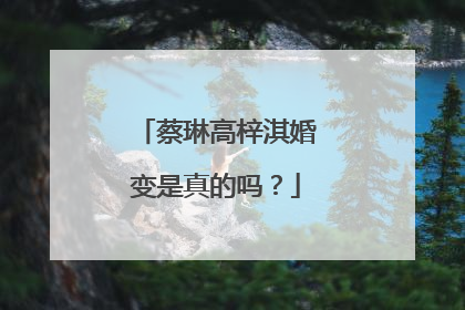 蔡琳高梓淇婚变是真的吗?