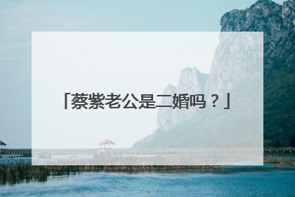 蔡紫老公是二婚吗?