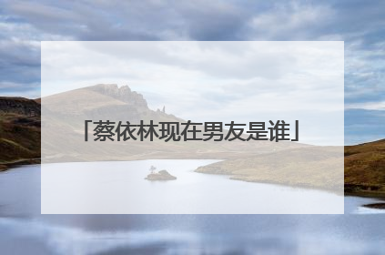 蔡依林现在男友是谁