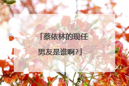 蔡依林的现任男友是谁啊?