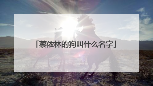 蔡依林的狗叫什么名字