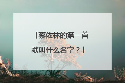 蔡依林的第一首歌叫什么名字?