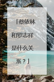 蔡依林和罗志祥是什么关系？