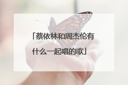 蔡依林和周杰伦有什么一起唱的歌
