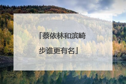 蔡依林和滨崎步谁更有名