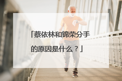 蔡依林和锦荣分手的原因是什么？