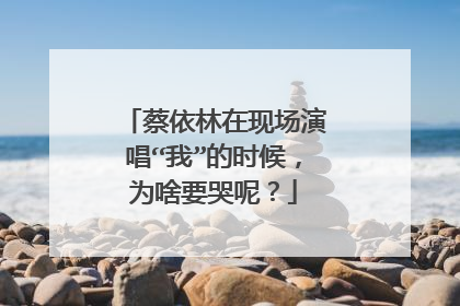 蔡依林在现场演唱“我”的时候,为啥要哭呢?