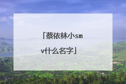 蔡依林小smv什么名字