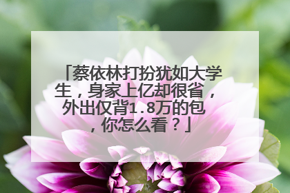 蔡依林打扮犹如大学生，身家上亿却很省，外出仅背1.8万的包，你怎么看？