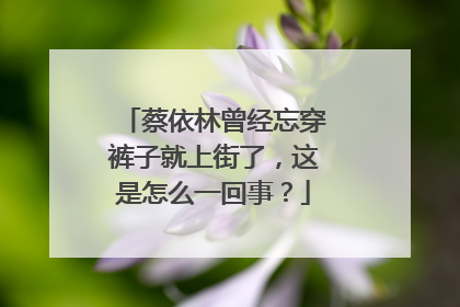 蔡依林曾经忘穿裤子就上街了,这是怎么一回事?