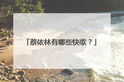 蔡依林有哪些快歌？