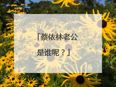 蔡依林老公是谁呢？