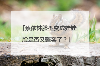 蔡依林脸型变成娃娃脸是否又整容了?