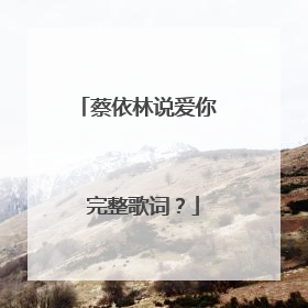 蔡依林说爱你 完整歌词?