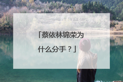 蔡依林锦荣为什么分手?