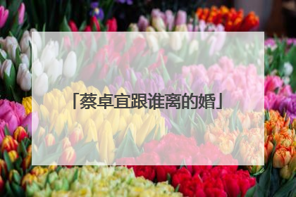 蔡卓宜跟谁离的婚