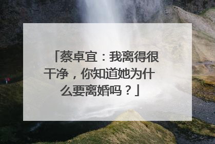 蔡卓宜：我离得很干净，你知道她为什么要离婚吗？