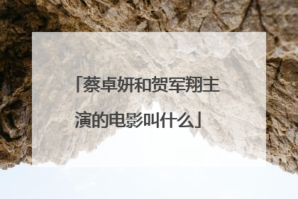 蔡卓妍和贺军翔主演的电影叫什么