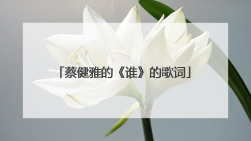 蔡健雅的《谁》的歌词
