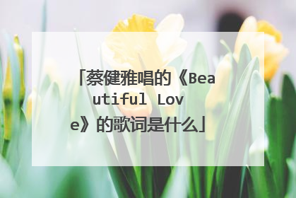 蔡健雅唱的《Beautiful Love》的歌词是什么