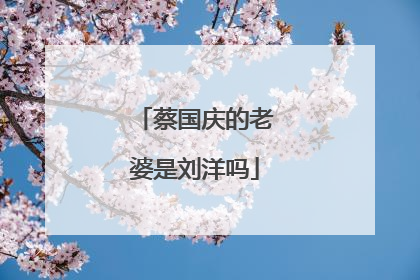 蔡国庆的老婆是刘洋吗