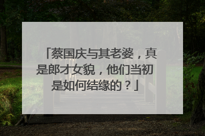 蔡国庆与其老婆,真是郎才女貌,他们当初是如何结缘的?