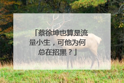 蔡徐坤也算是流量小生,可他为何总在招黑?