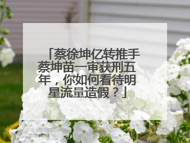 蔡徐坤亿转推手蔡坤苗一审获刑五年,你如何看待明星流量造假?