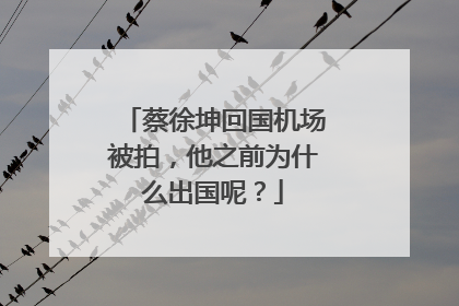 蔡徐坤回国机场被拍,他之前为什么出国呢?