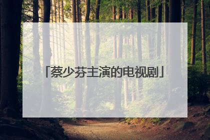 蔡少芬主演的电视剧