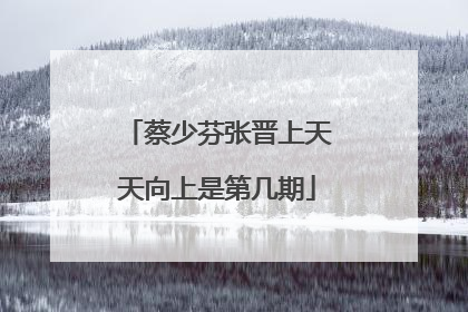 蔡少芬张晋上天天向上是第几期