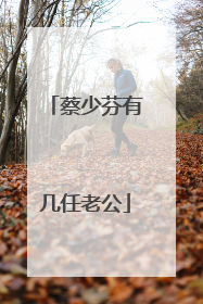 蔡少芬有几任老公