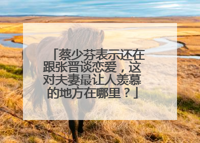 蔡少芬表示还在跟张晋谈恋爱，这对夫妻最让人羡慕的地方在哪里？