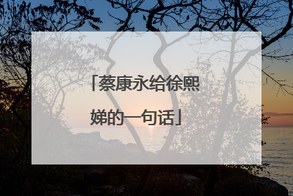 蔡康永给徐熙娣的一句话